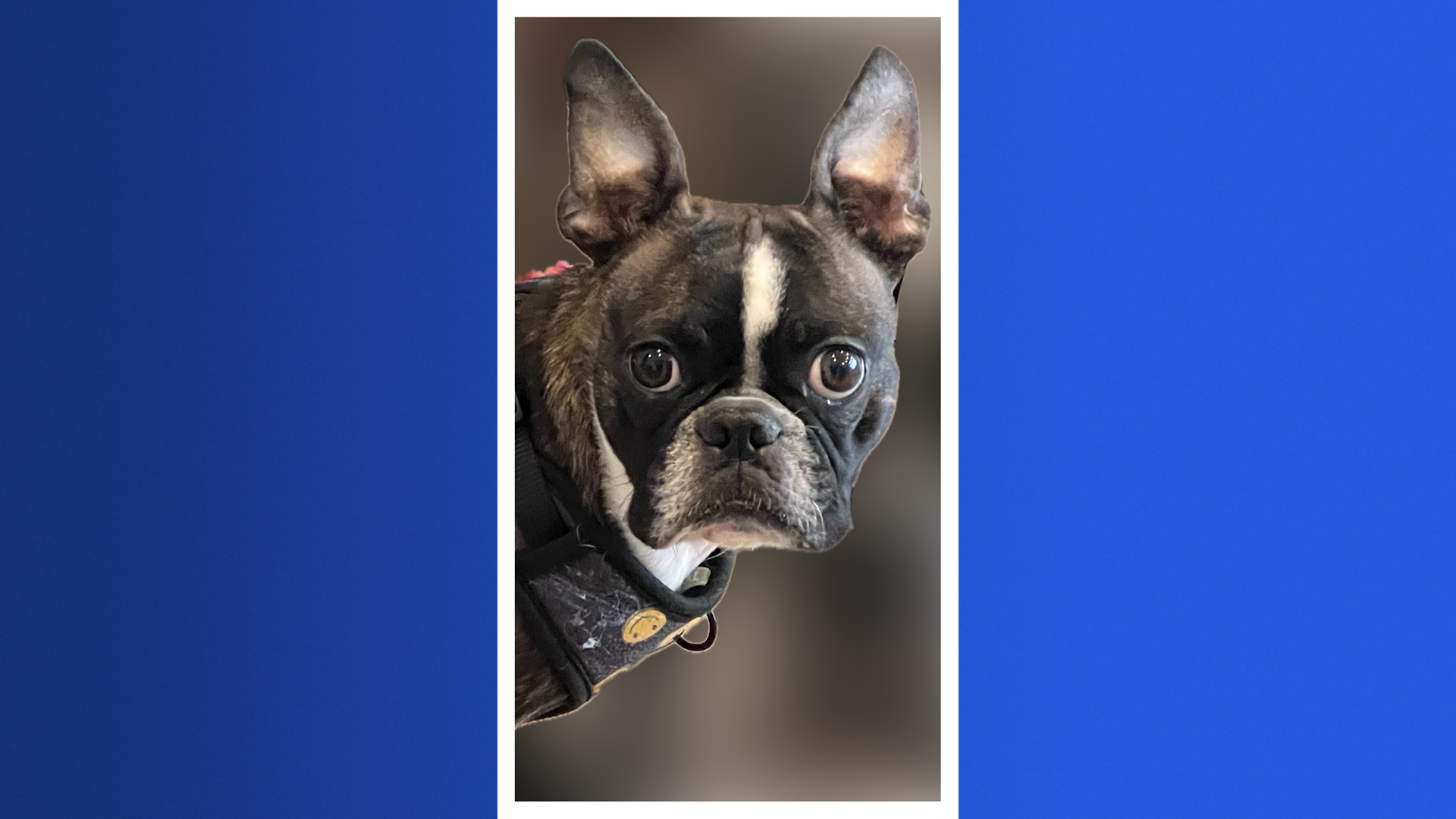 MicrosoftTeams-image (3).png