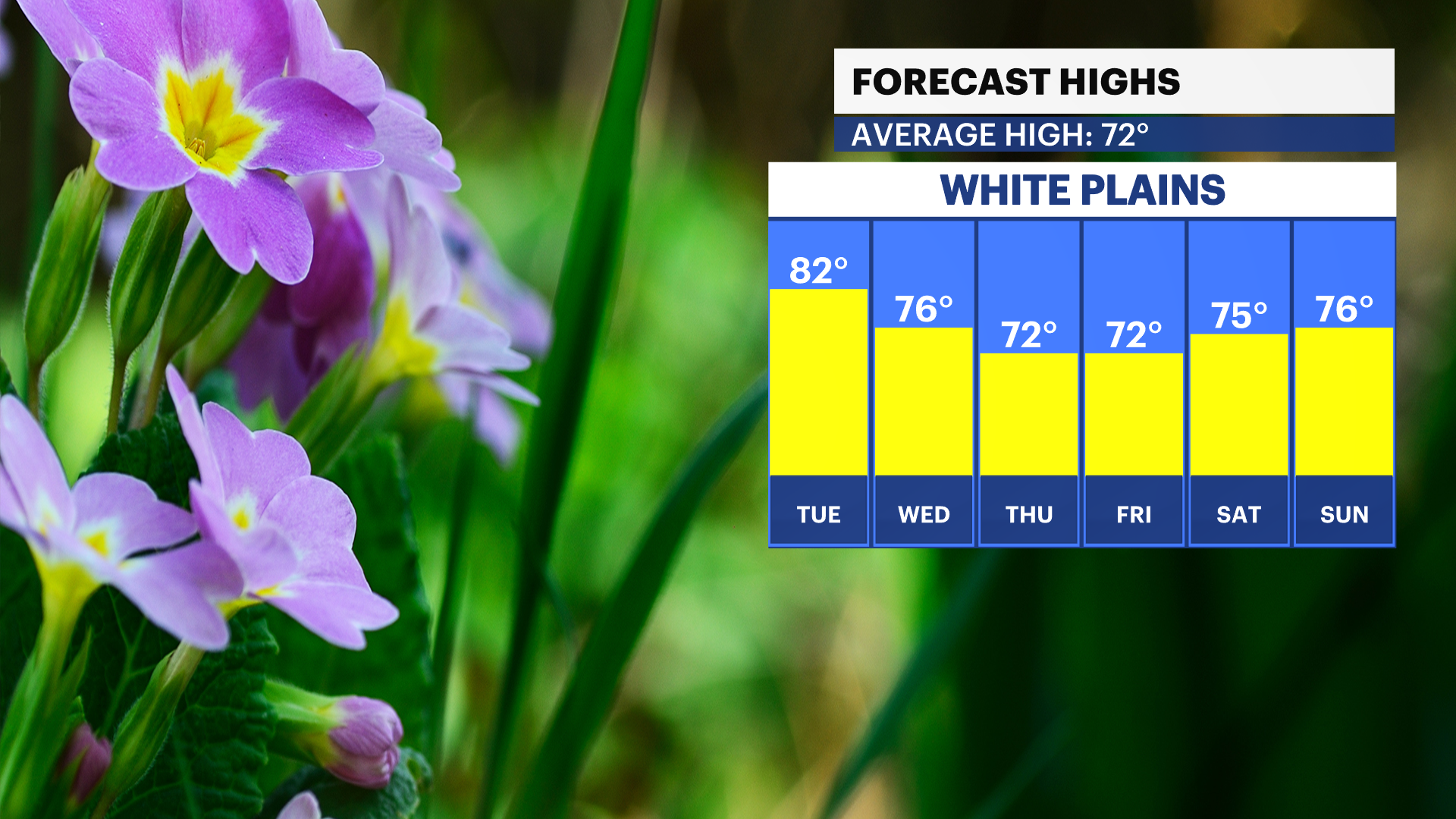 WCHV Mon 05272024 Daily Rain Trend Mid.png