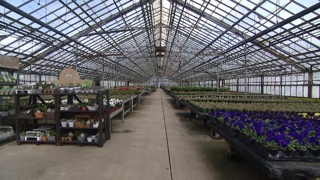 Article 120974 Thumbnail