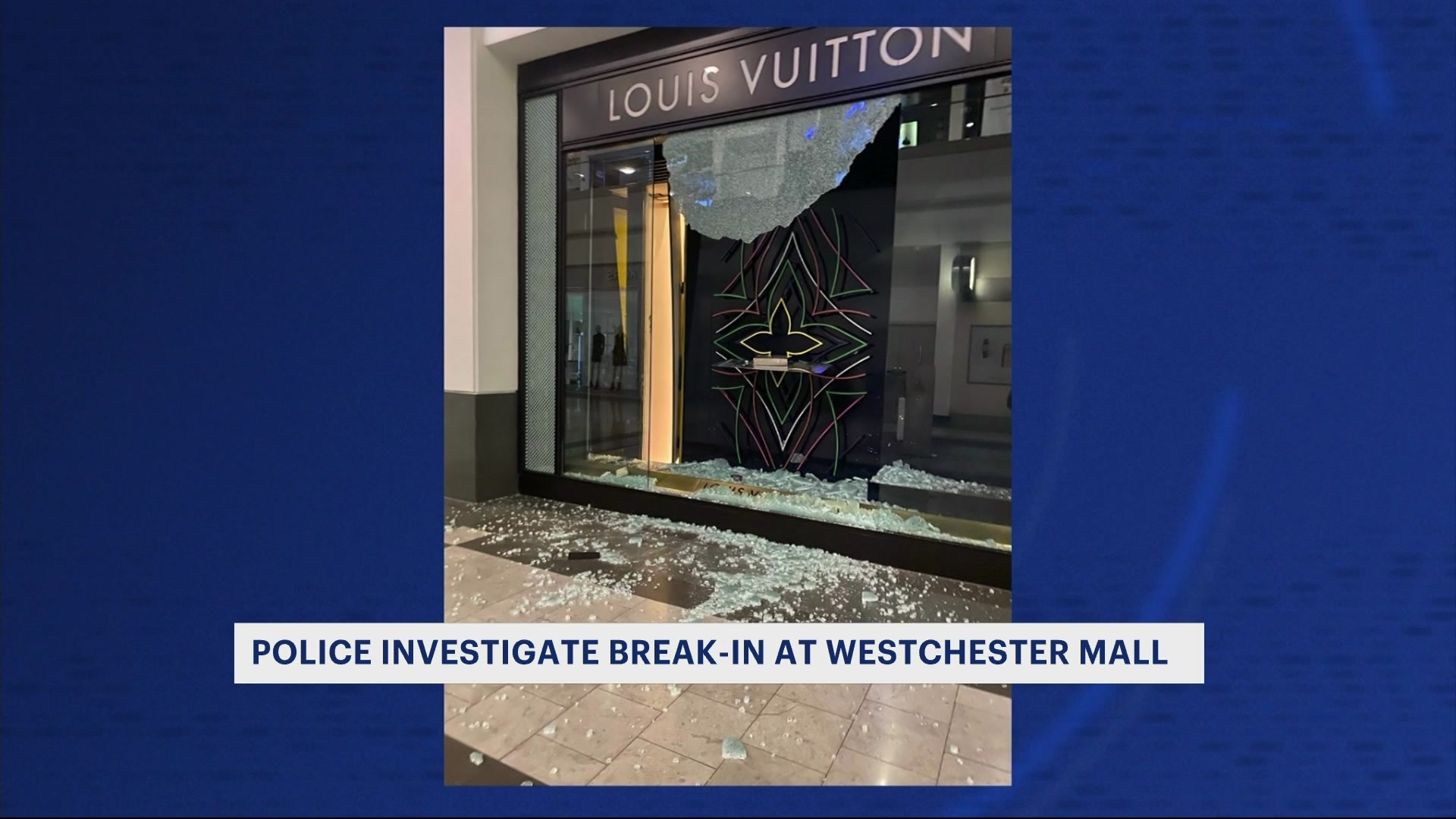 Louis Vuitton Store Robbed Nycm