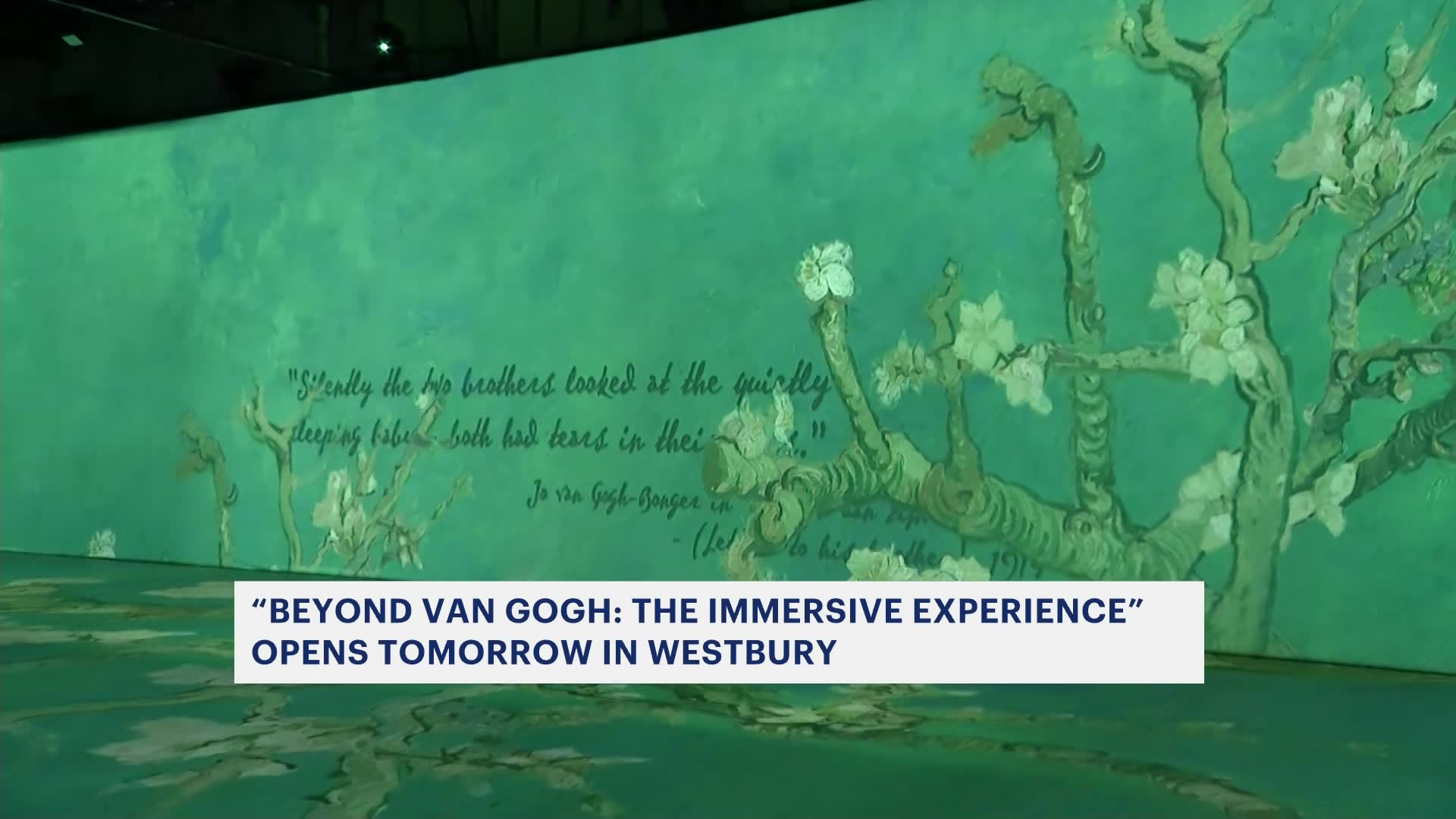 Beyond Van Gogh The Immersive Experience opens Friday in Westbury