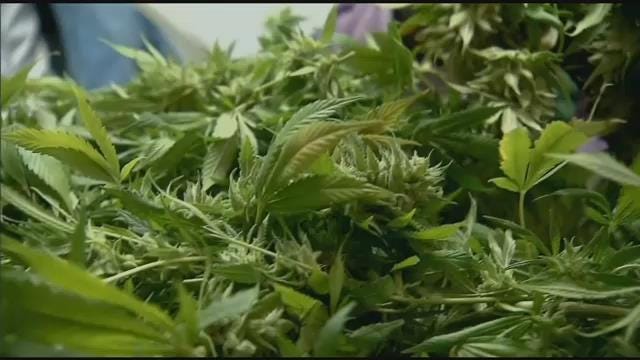 Article 152985 Thumbnail