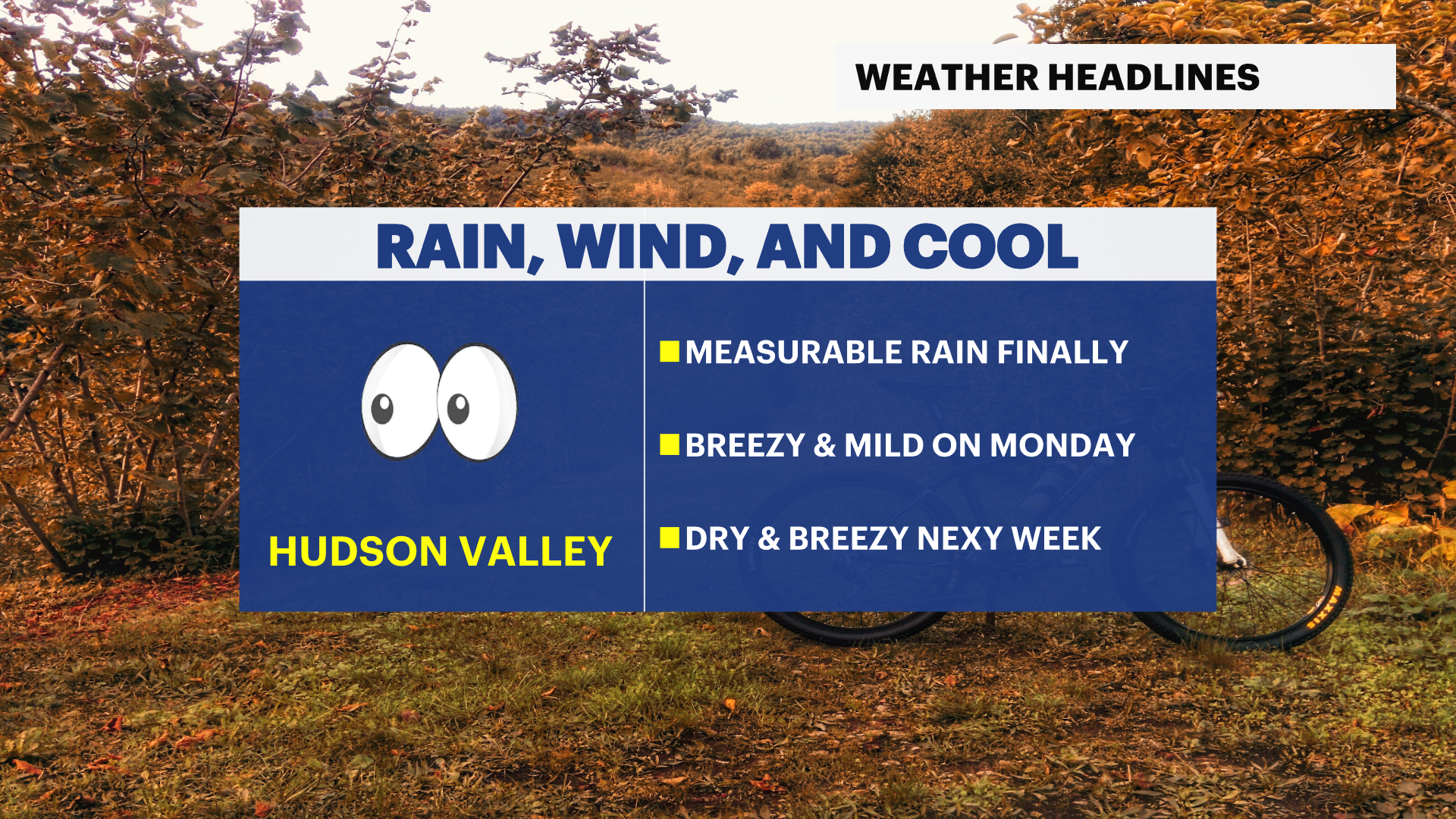 WCHV Sun 11102024 HEADLINES_HV_JULIAN.png