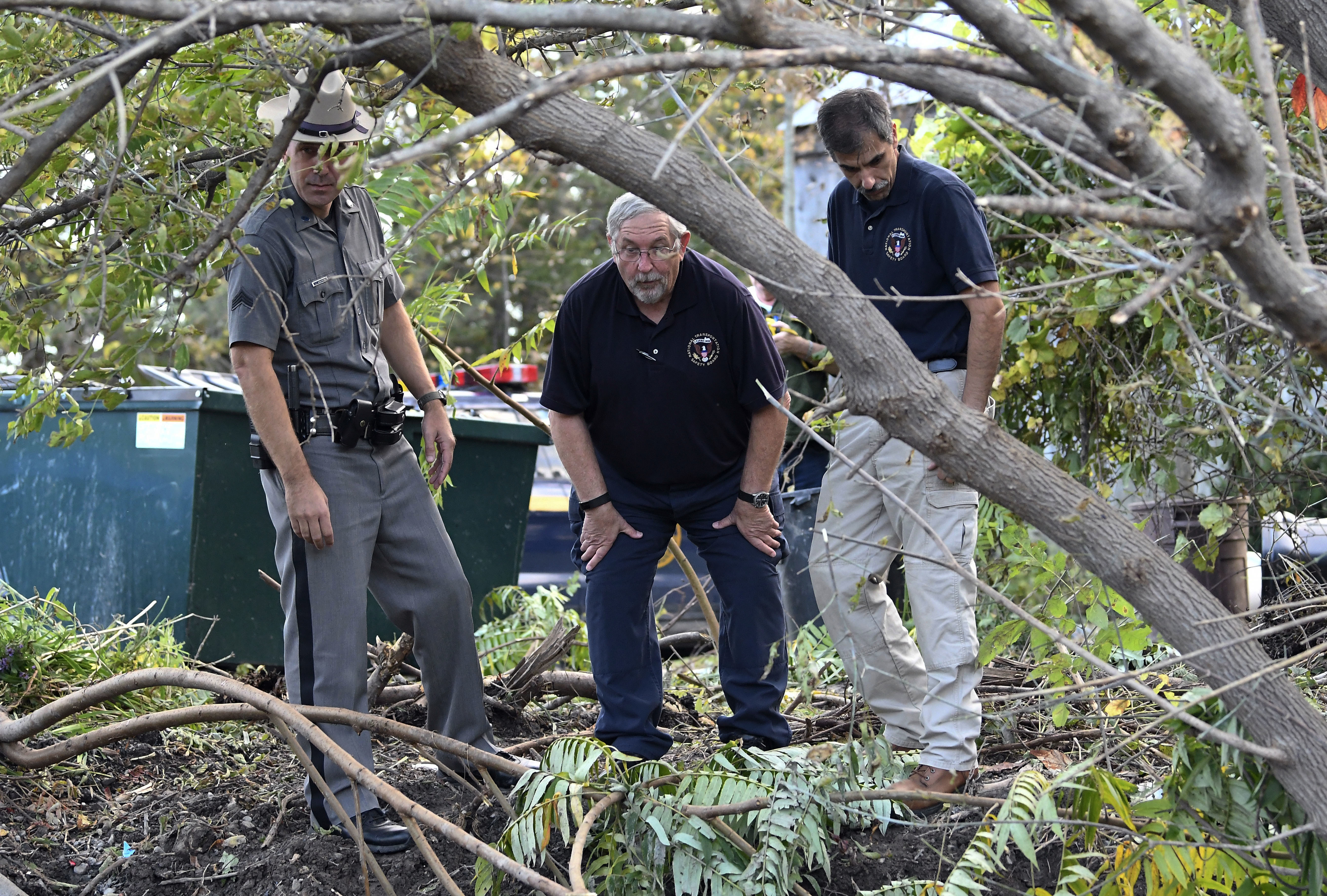 Article 307597 Hero Image