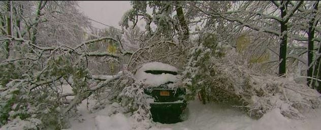 Article 119744 Thumbnail