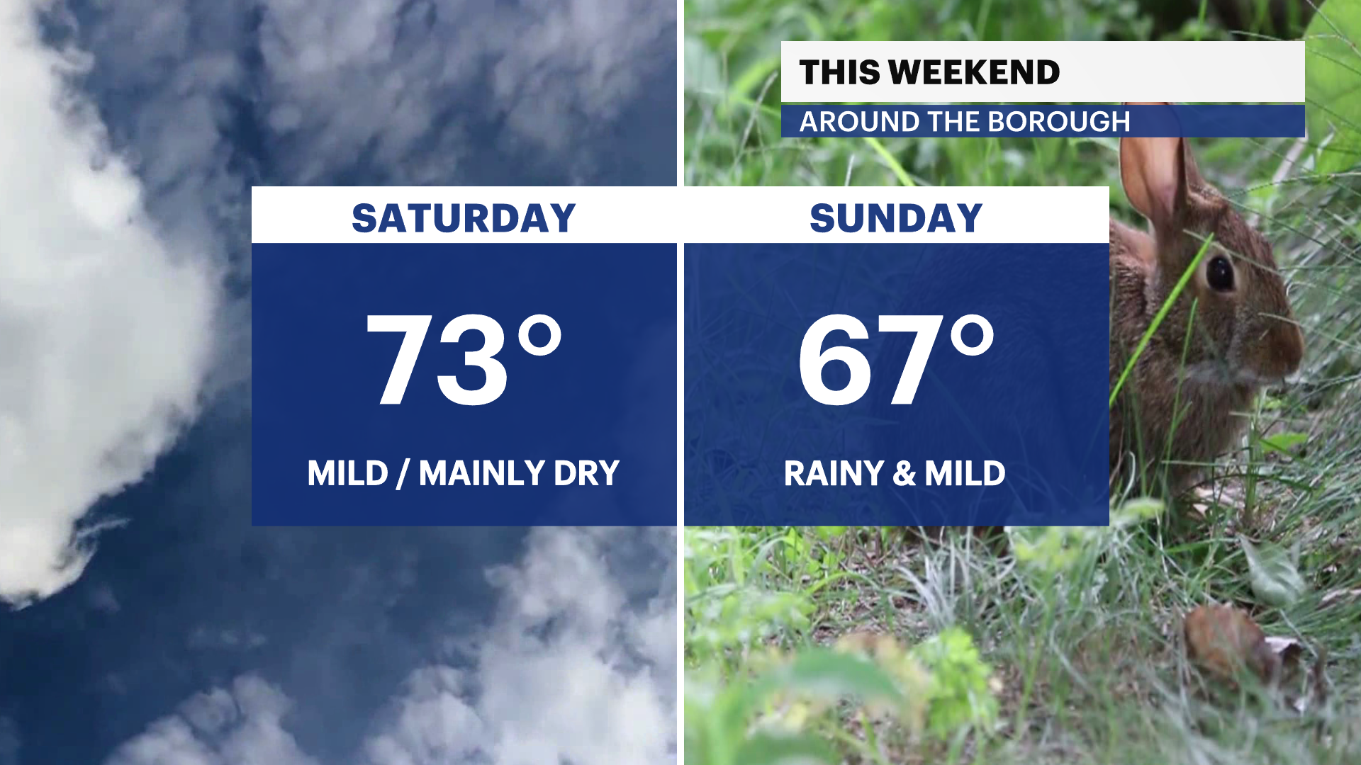 X_Panel_Compare_2 (13).png