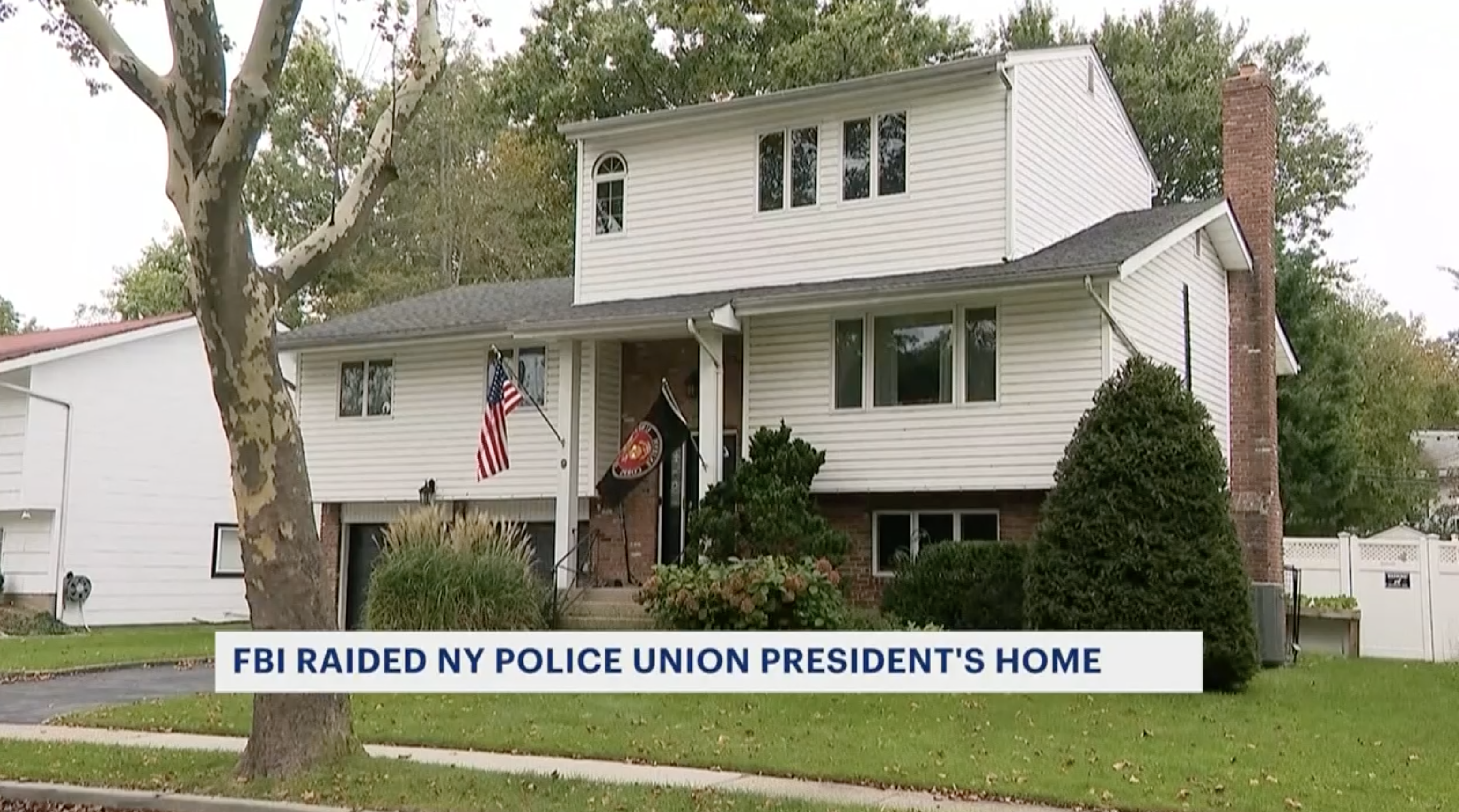 Article 274171 Hero Image