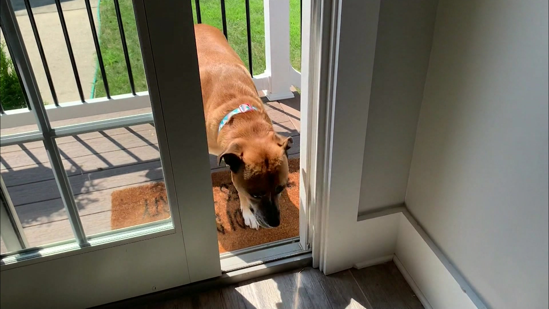 Article 271371 Thumbnail