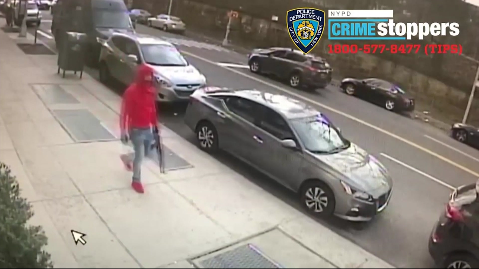 Article 249676 Hero Image