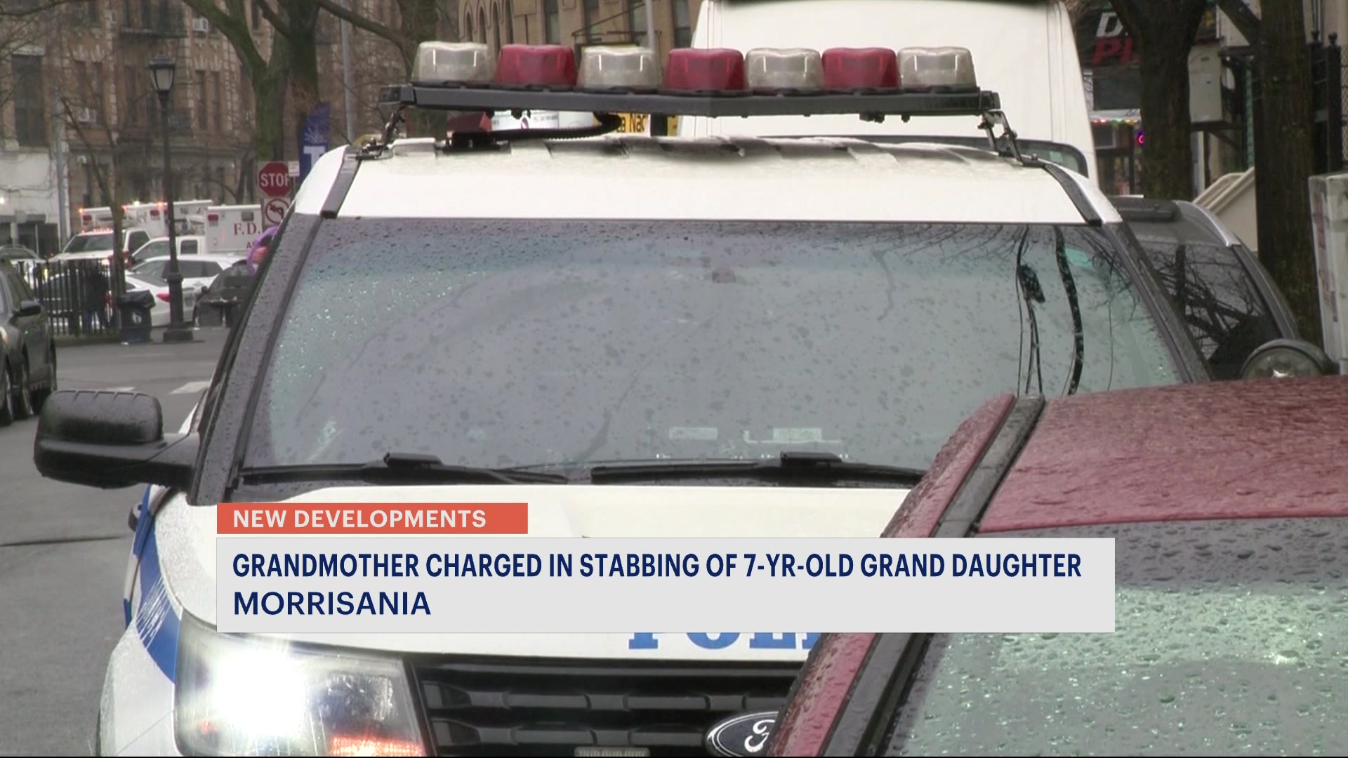 News 12 | Hudson Valley | Bronx Grandmother Charged In Violent Stabbing ...