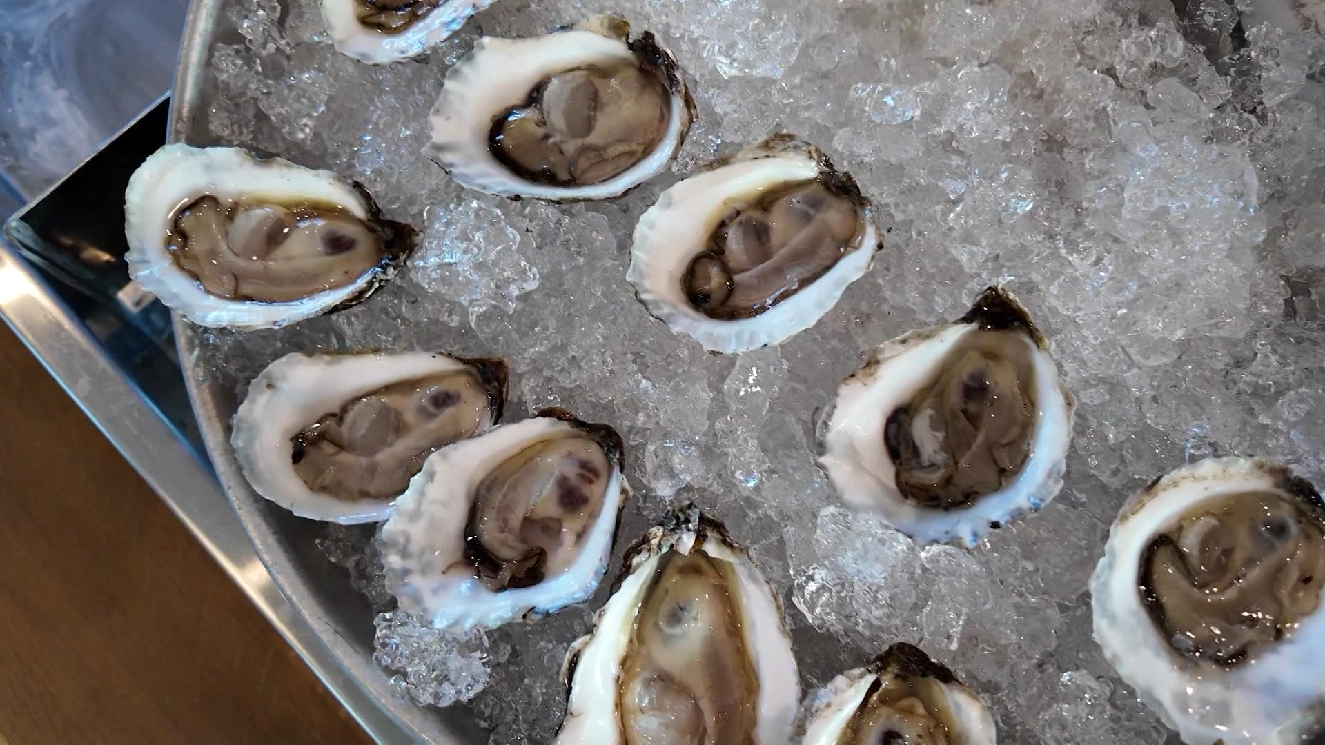 OystersEEbd_2026-03-19-12-50-44_12-19-05,19