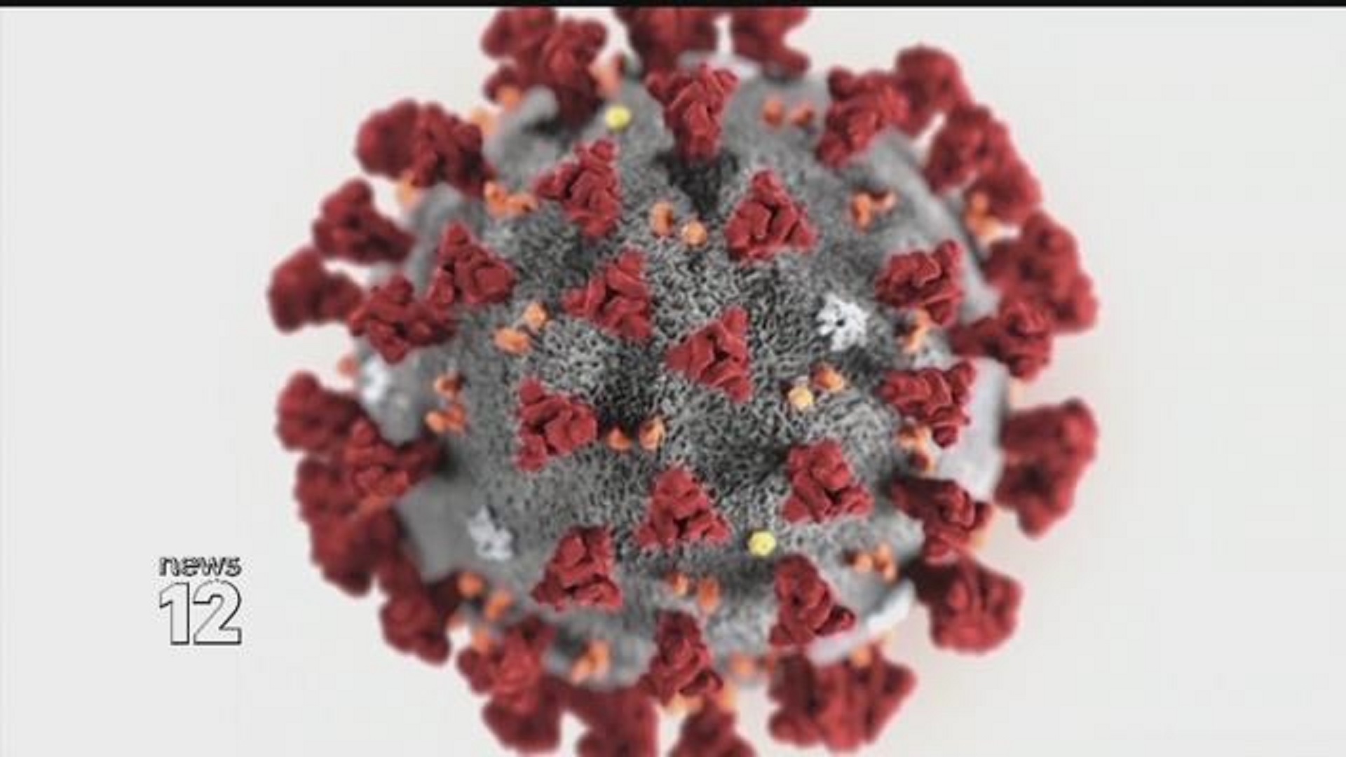 Article 258226 Hero Image