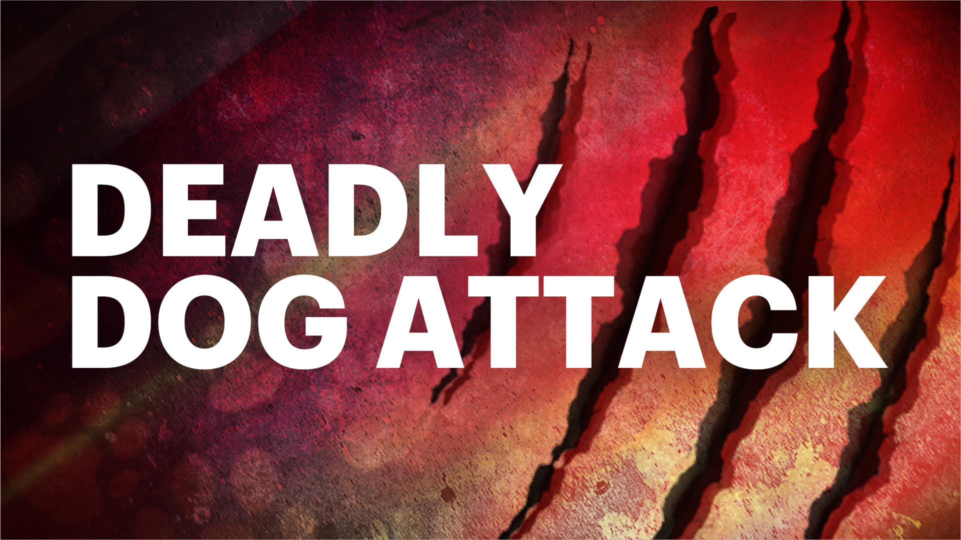 deadly dog attack