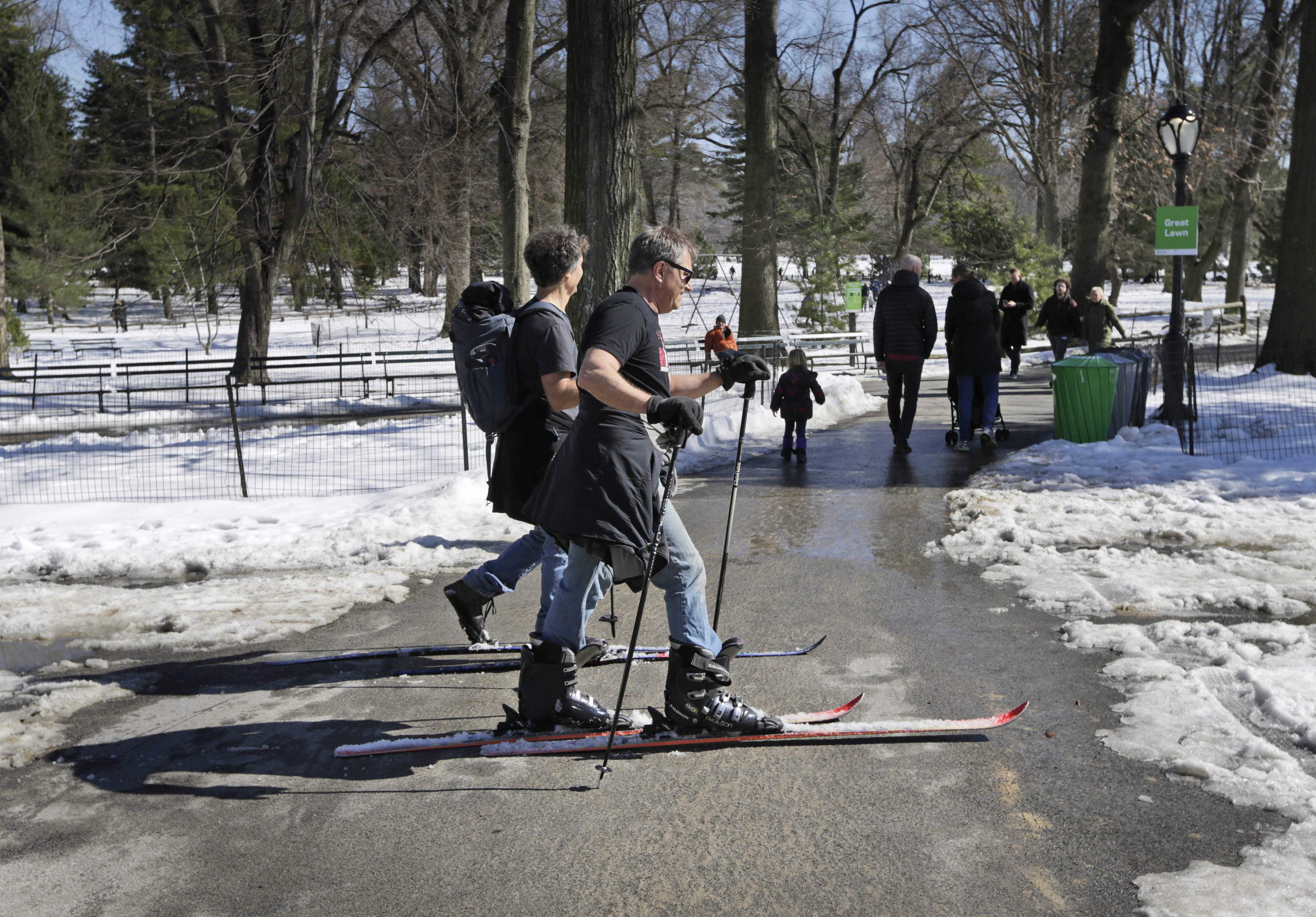 Article 245171 Hero Image