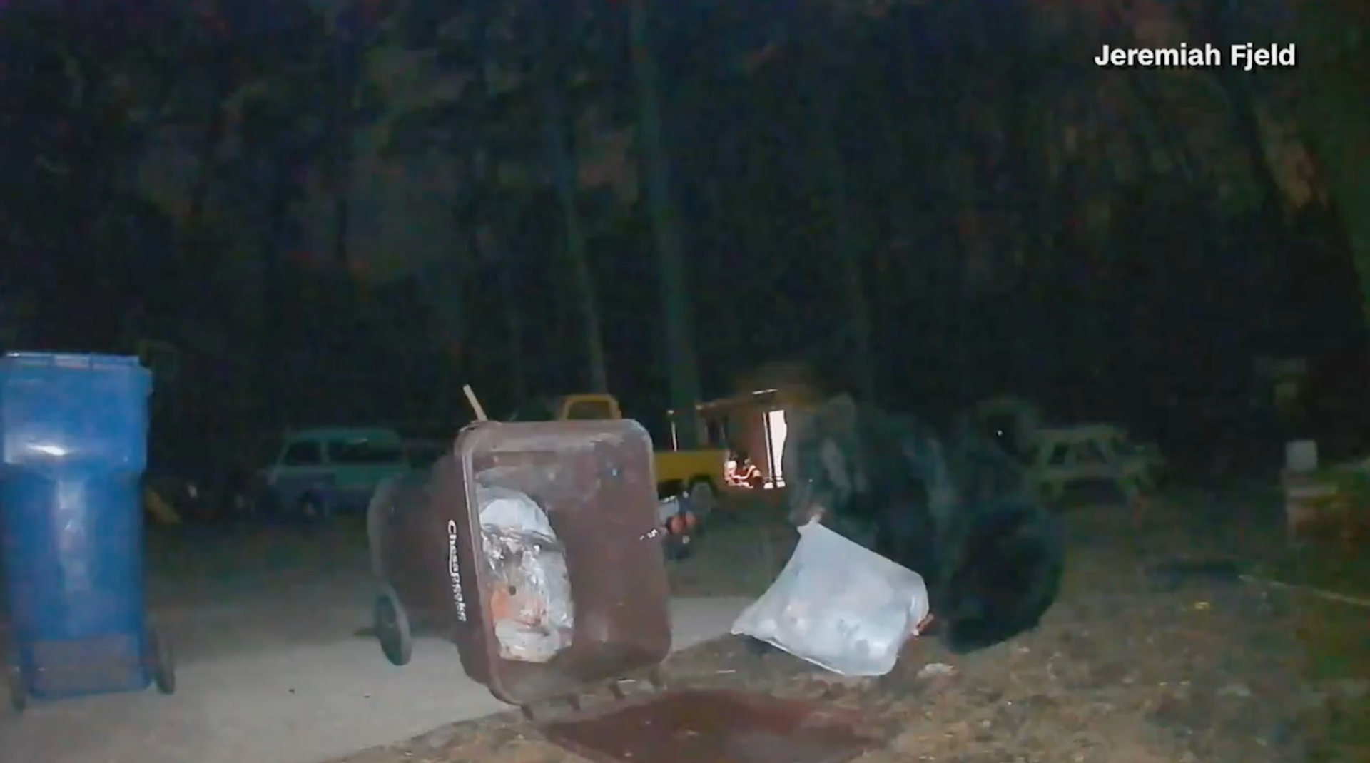 Be bear aware! Follow these 6 tips to keep bears out of your yard