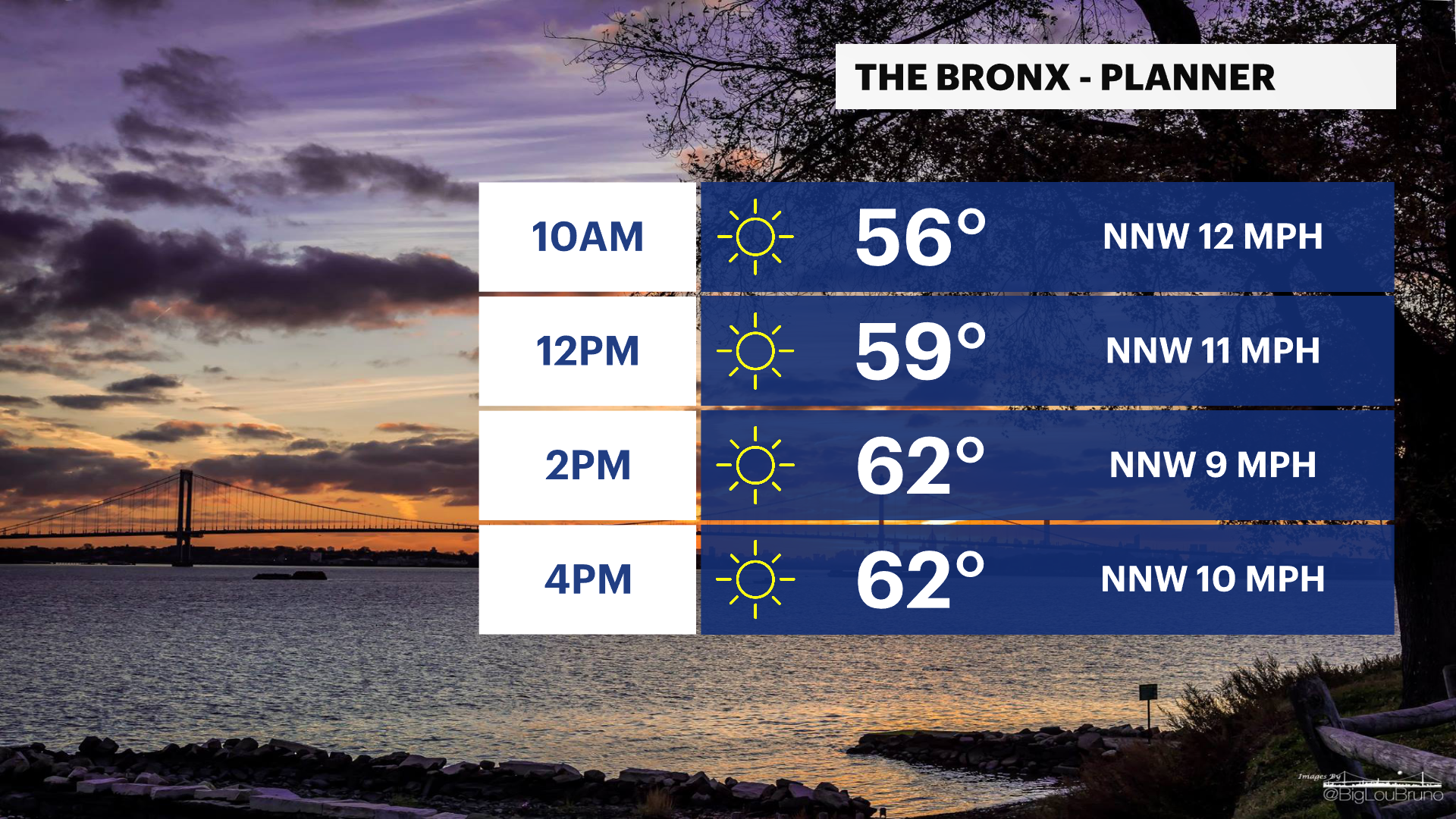 BRONX PLANNER - AM.png