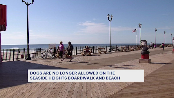 are dogs allowed on the boardwalk in seaside heights nj