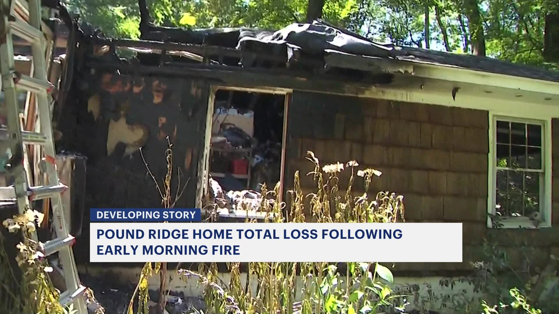 Fire officials Faulty generator switch, toxic chemicals caused