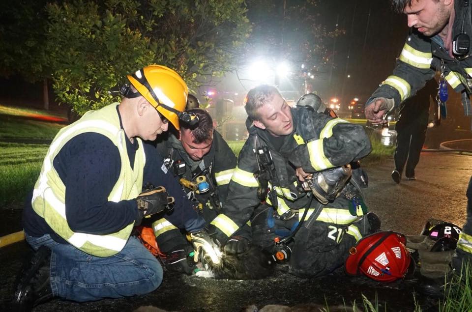 Article 111234 Thumbnail