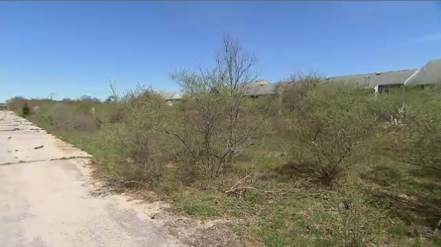 Article 115376 Thumbnail