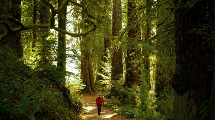 Article 50779 Thumbnail