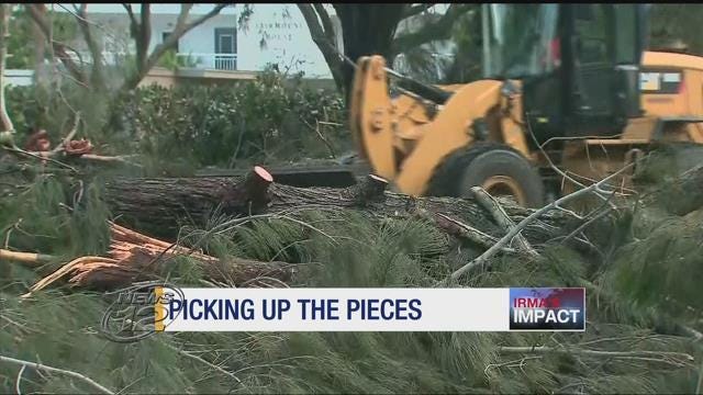 Article 131875 Thumbnail