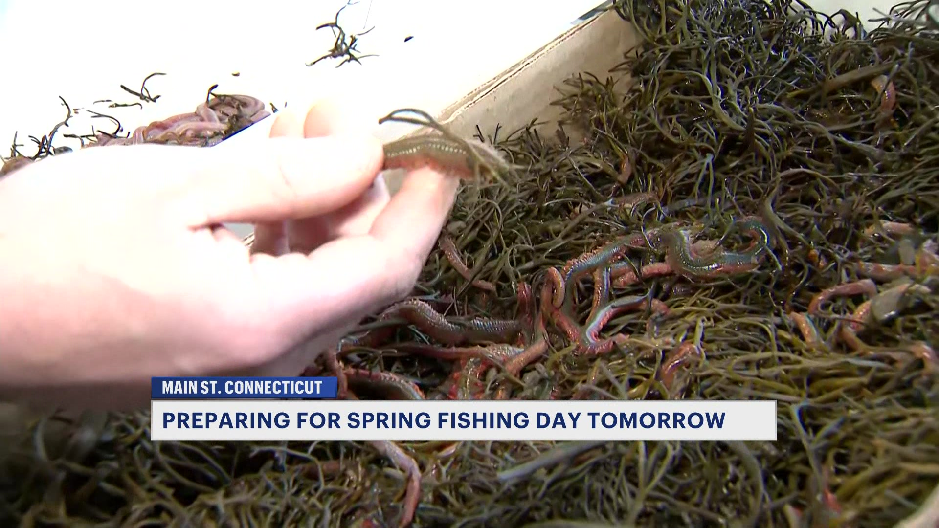 Mark7aml410_2026-04-10-07-20-16