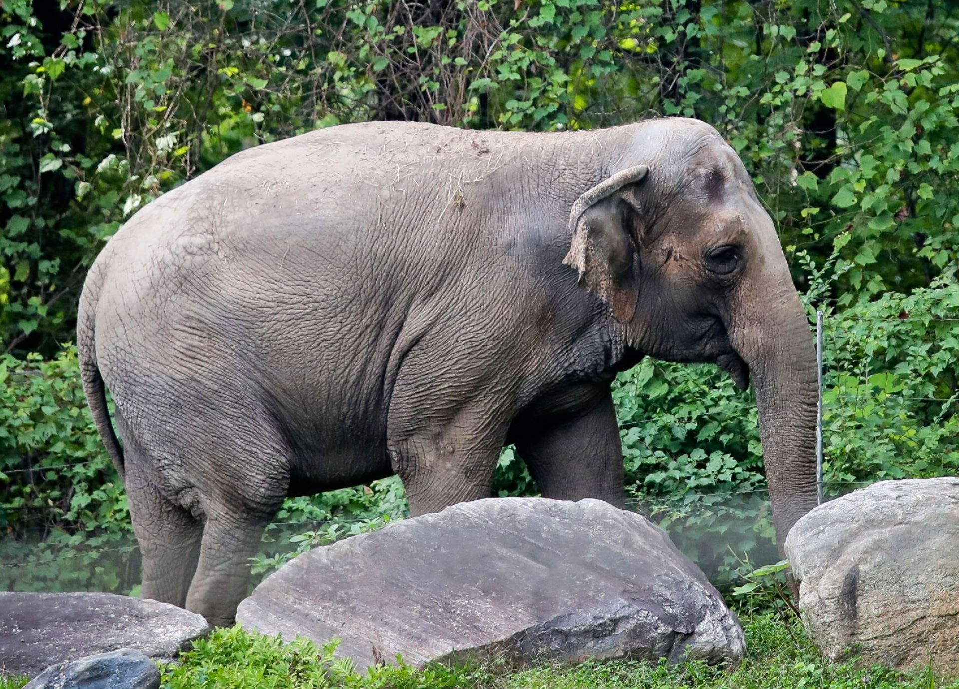 Article 294196 Hero Image