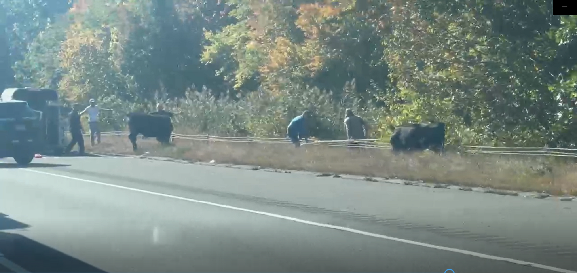 Article 308019 Hero Image