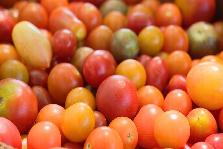 Article 143244 Thumbnail