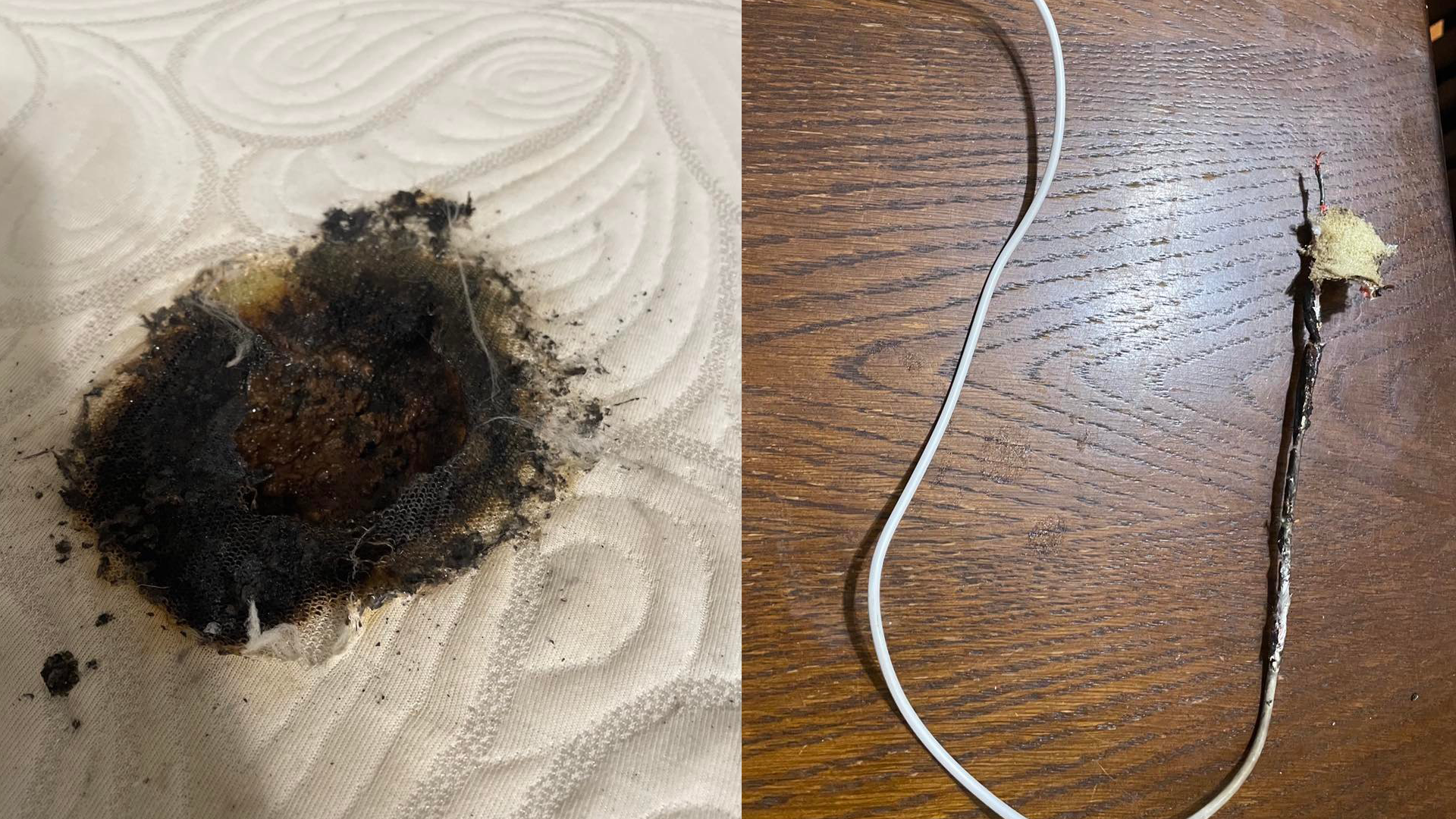 Article 279922 Hero Image