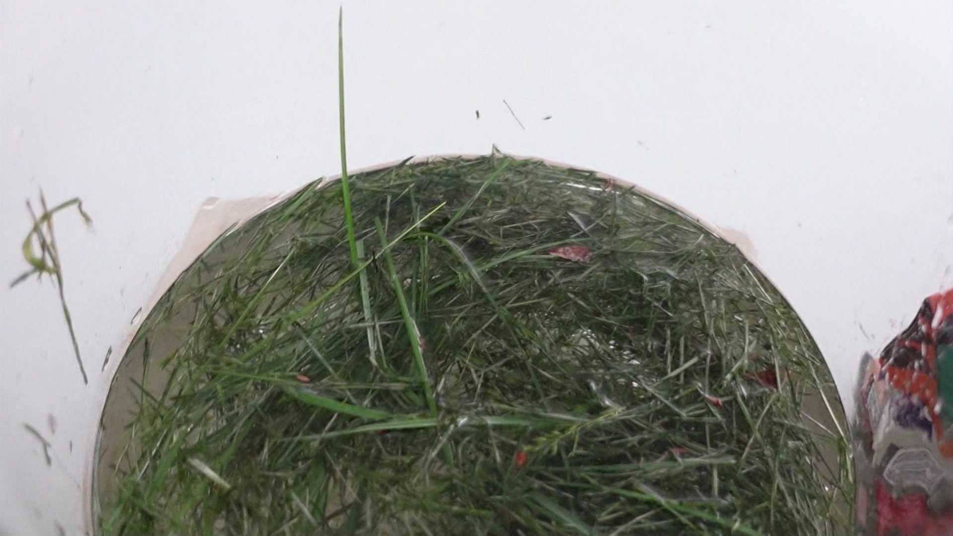 Article 291528 Thumbnail