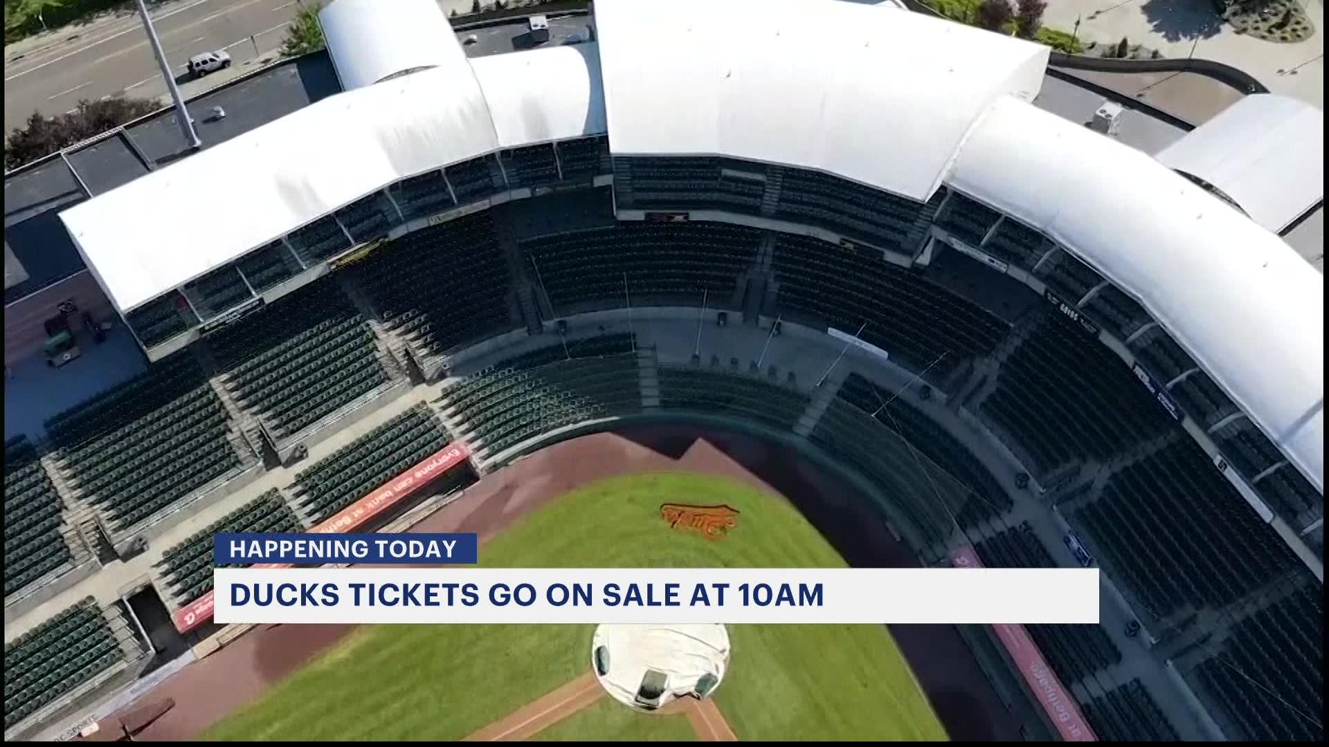 Play ball! Long Island Ducks game tickets go on sale