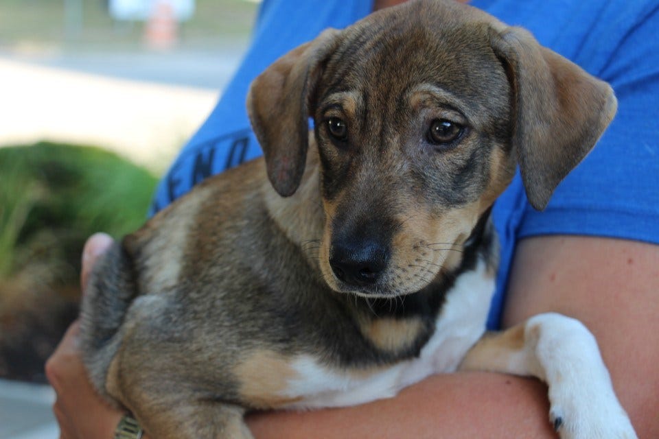 Article 136994 Thumbnail