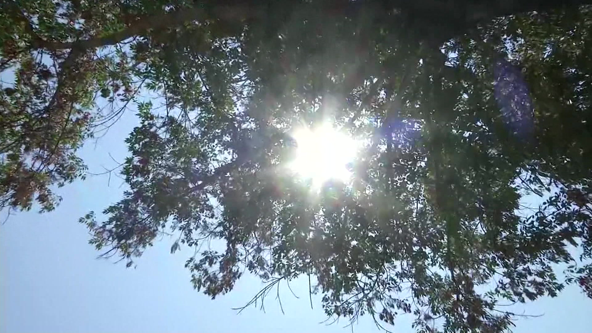 healthpkg_62225_2025-06-22-11-15-44_07-15-57,23