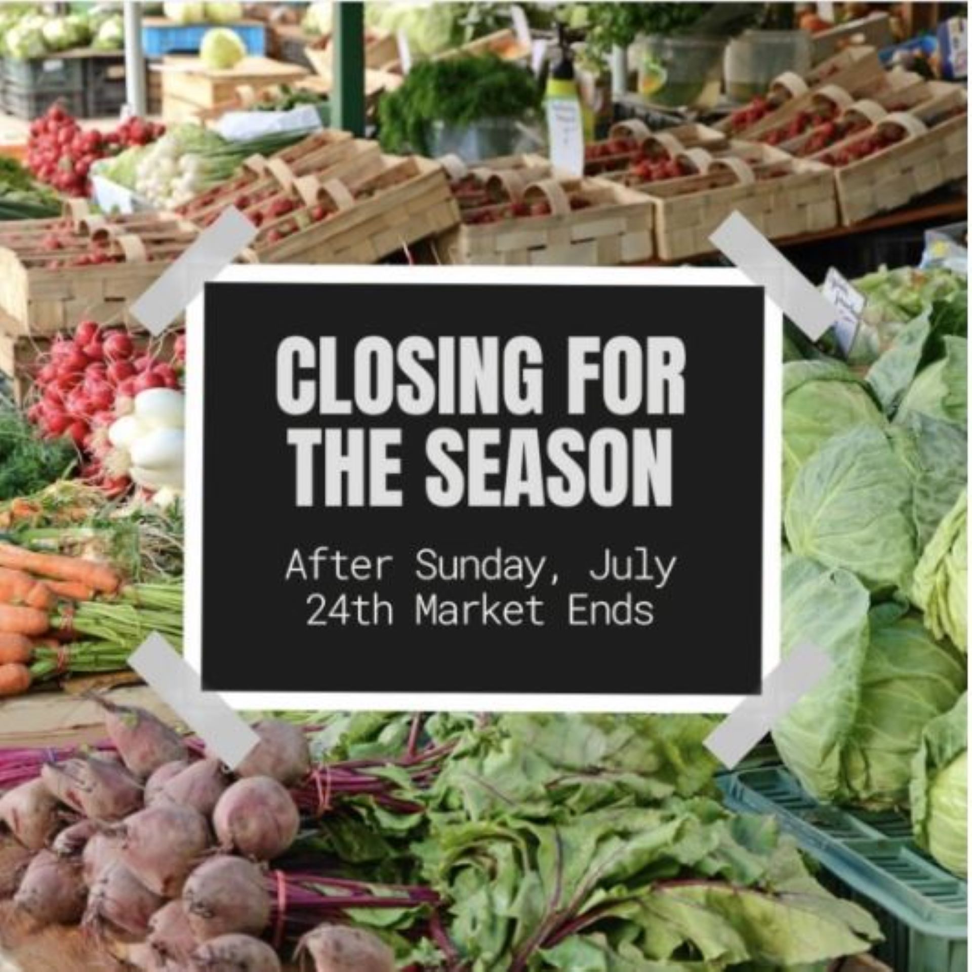 Article 300519 Hero Image