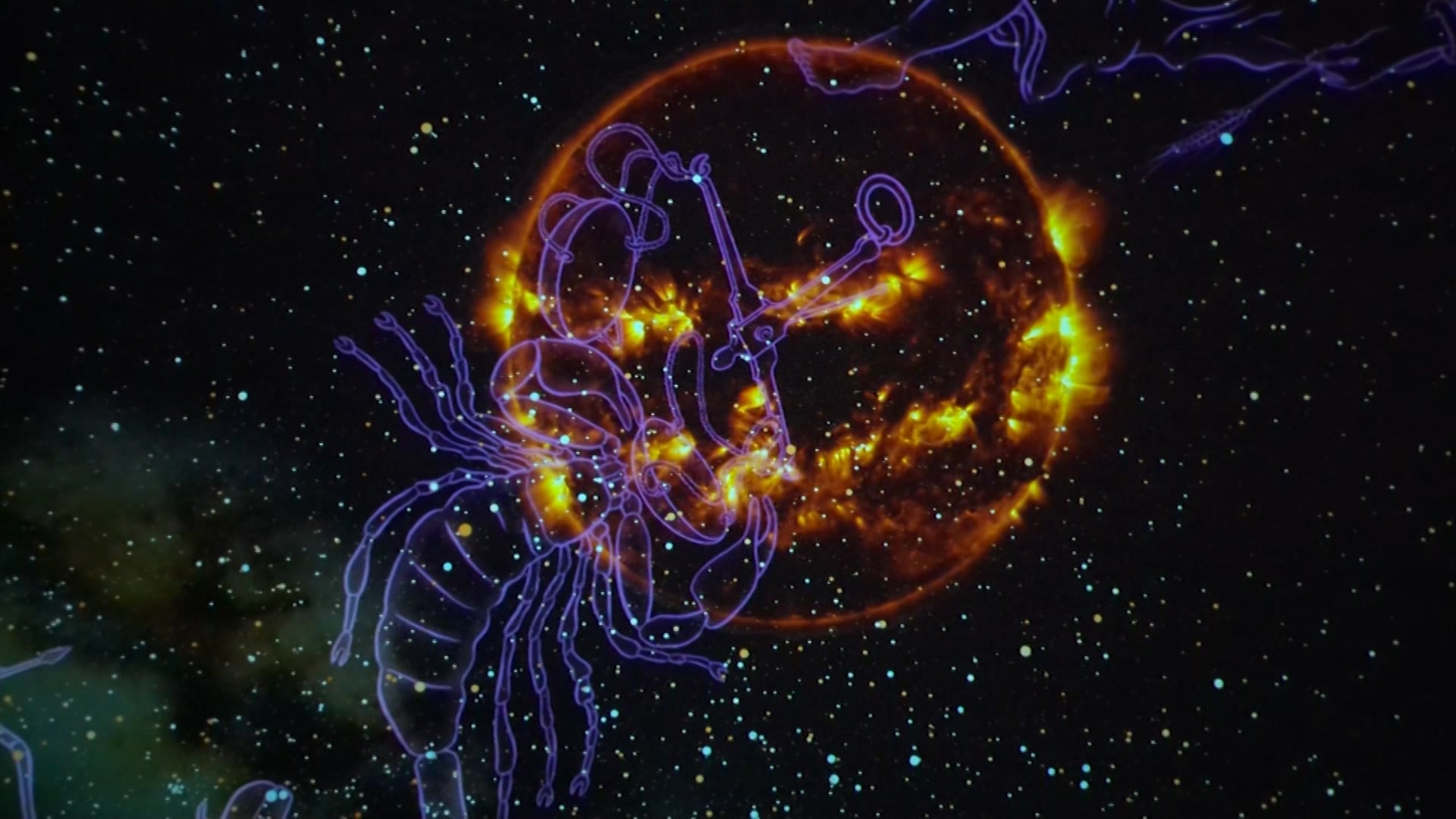 WC1025matt12_2024-10-25-12-24-31