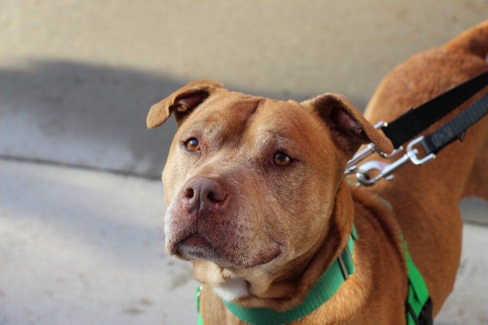 Article 126735 Thumbnail