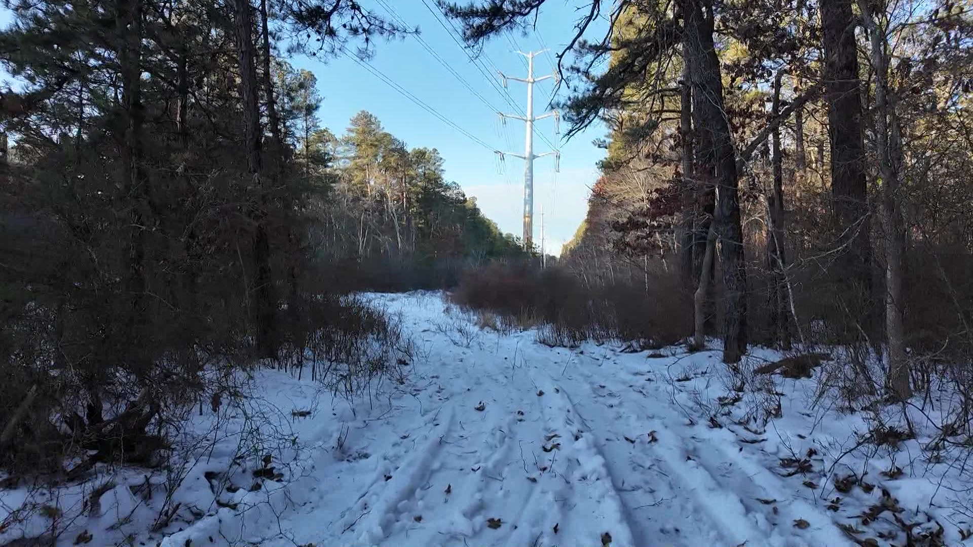 5PMJuliaMissingWoman_2026-02-12-17-57-49