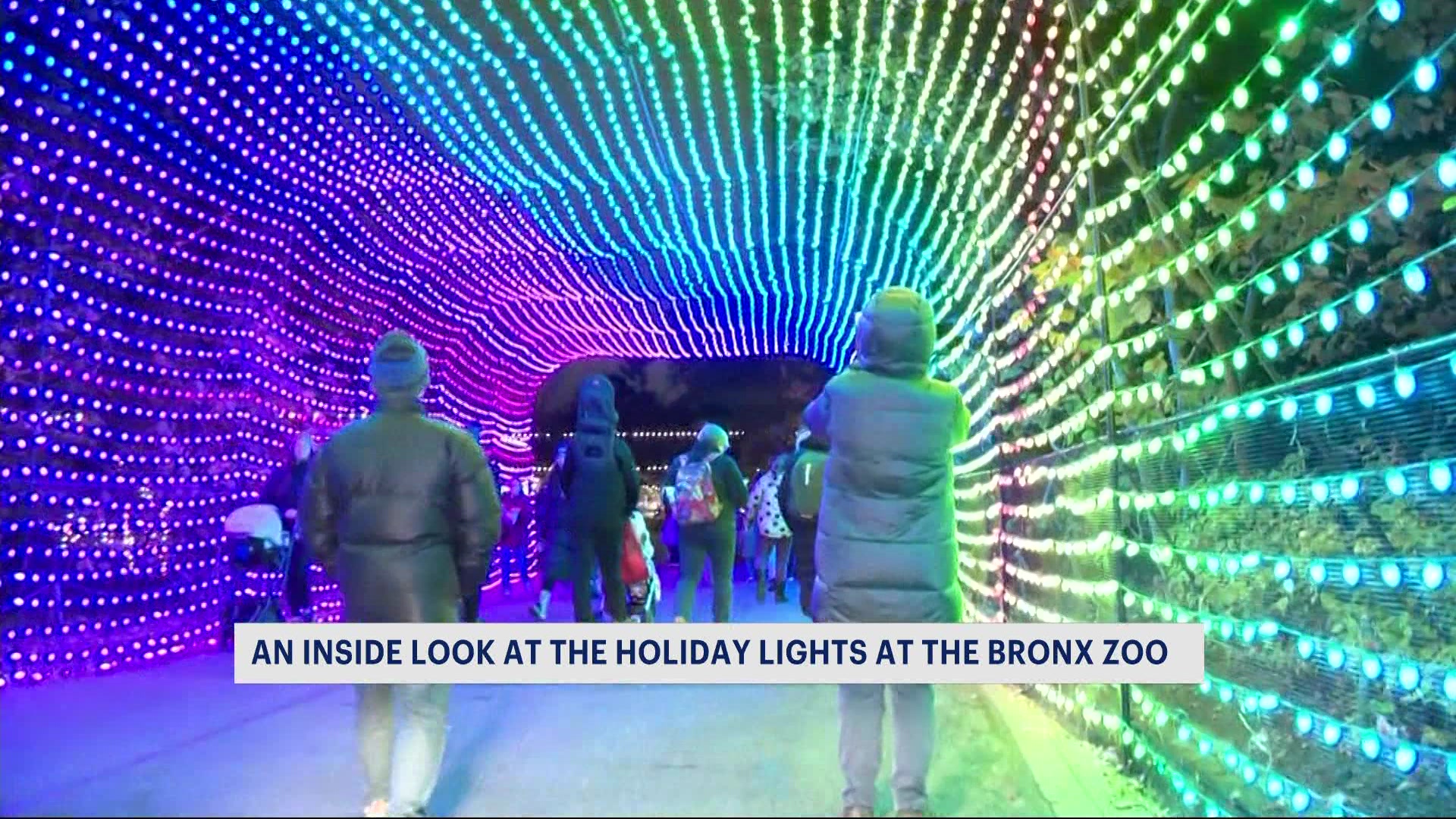 Lights on display at Bronx Zoo for holiday season
