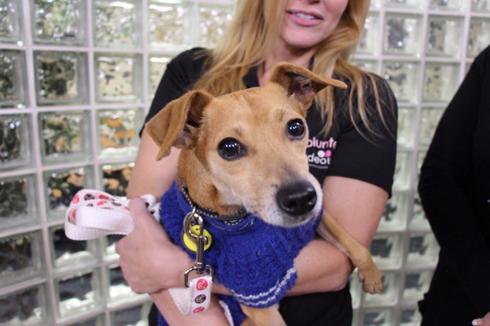 Article 143344 Thumbnail