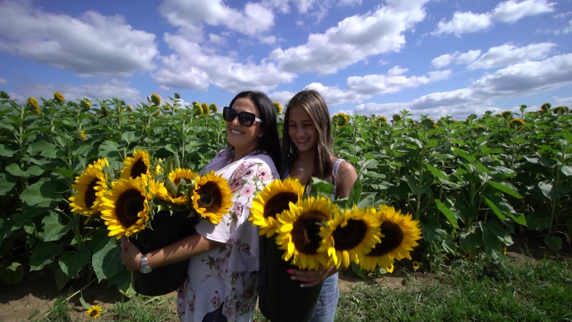 fall-flower-festival-at-holland-ridge-farms-celebrates-autumn