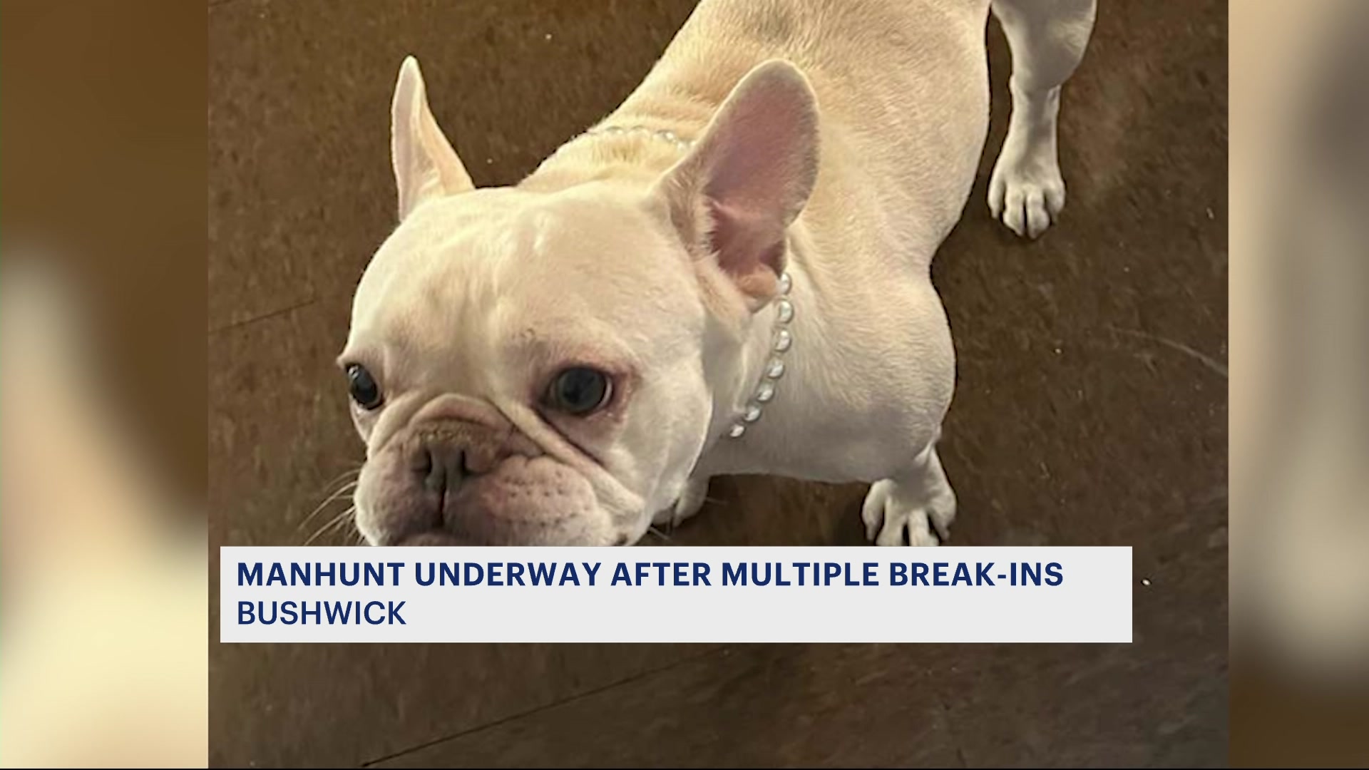 myrtleavehomeinvasion10pmCM_2026-02-09-22-34-21