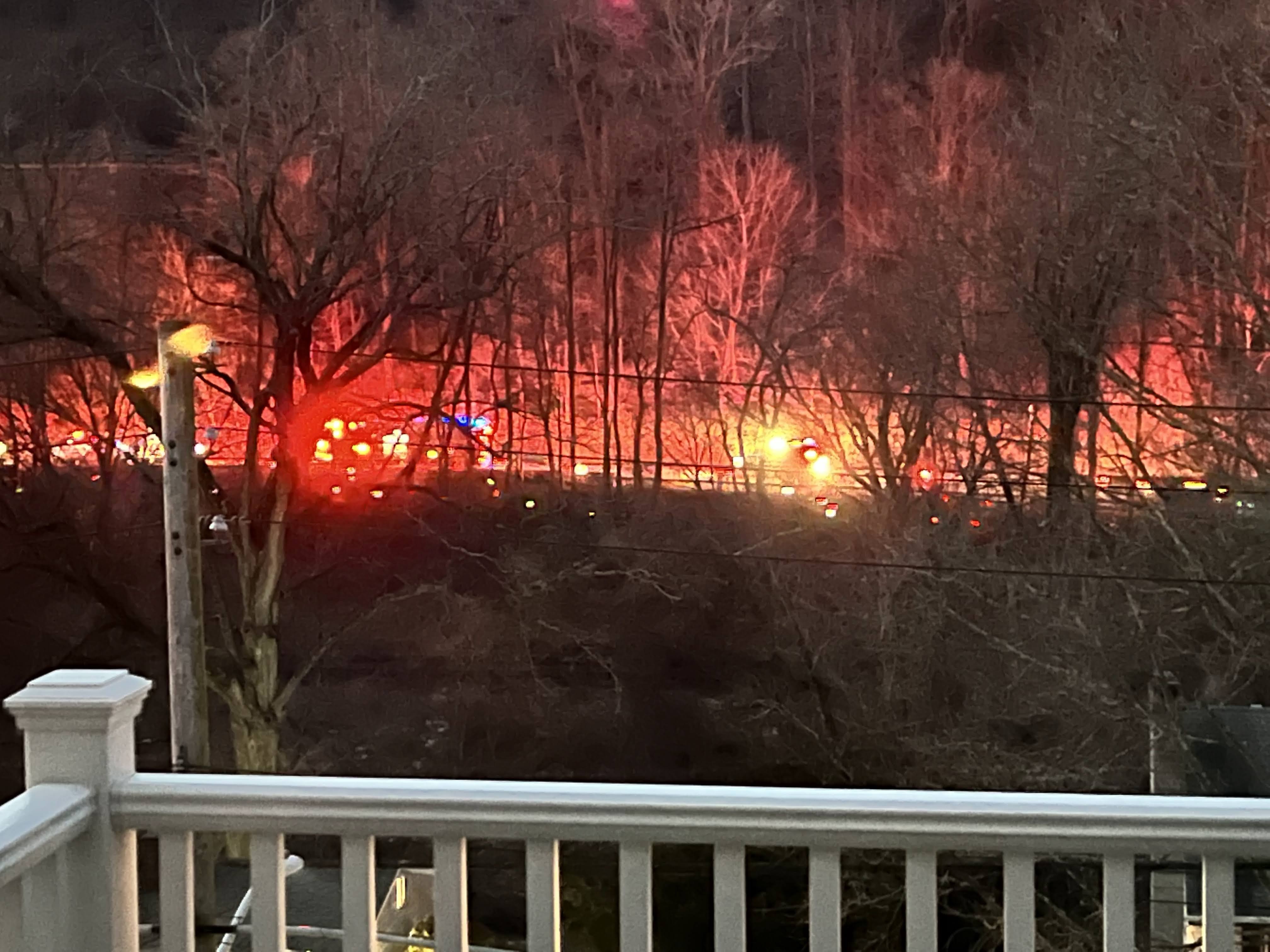 Article 284589 Hero Image