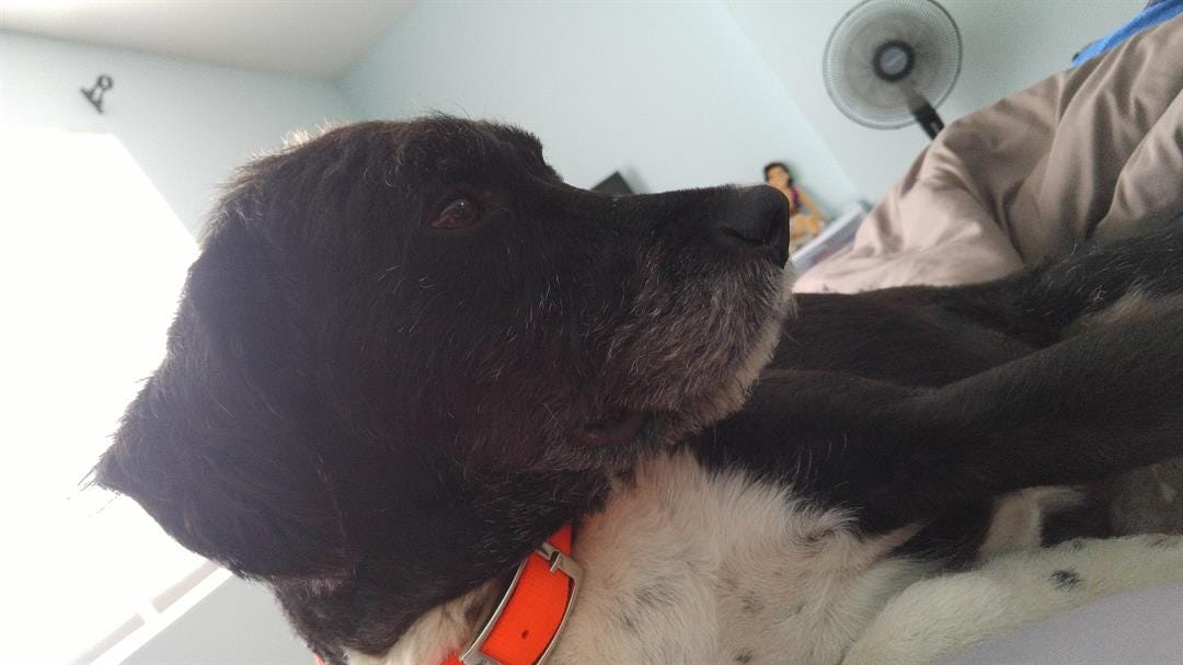 Article 20560 Thumbnail