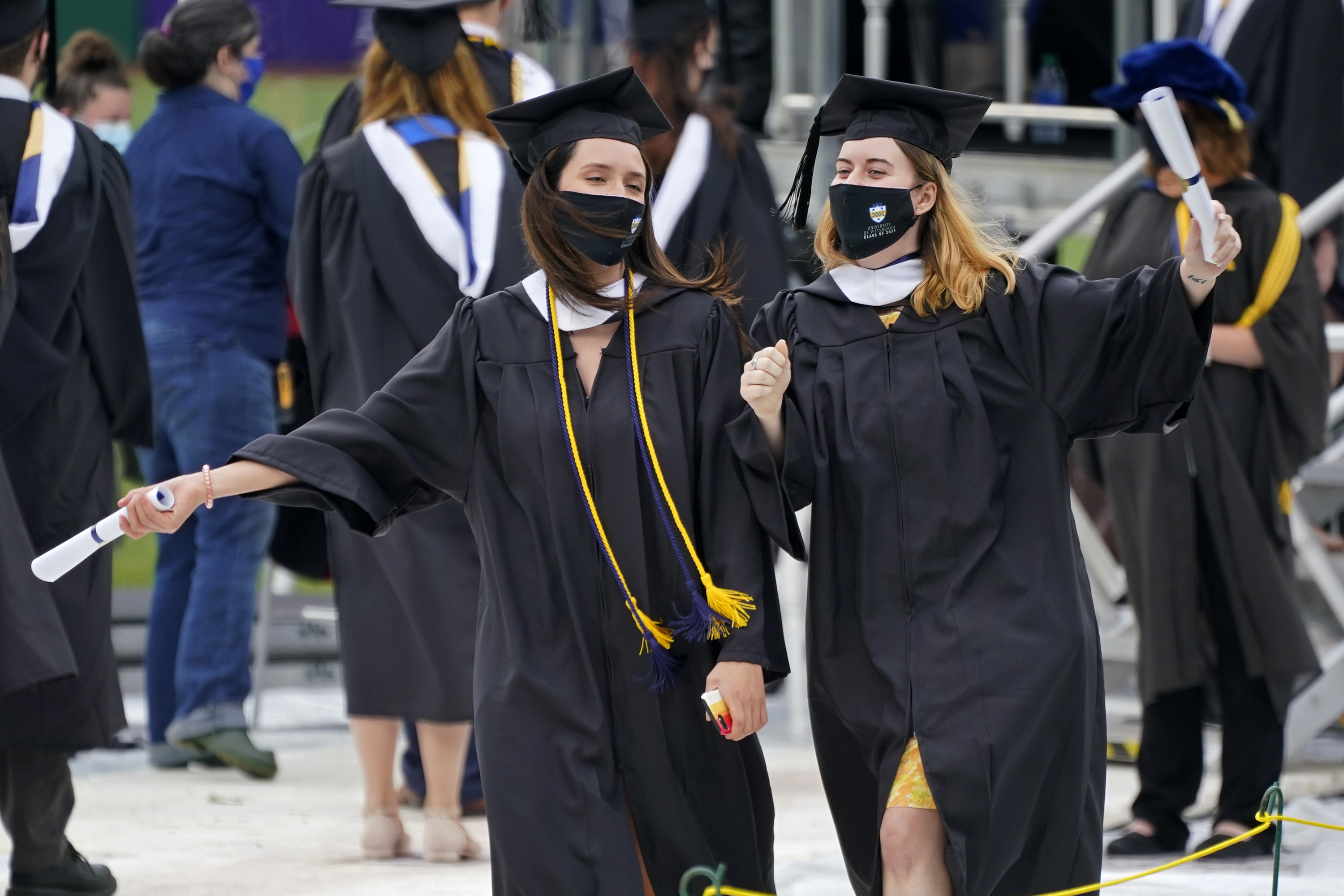 Article 260992 Hero Image