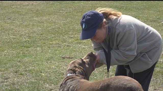 Article 108683 Thumbnail