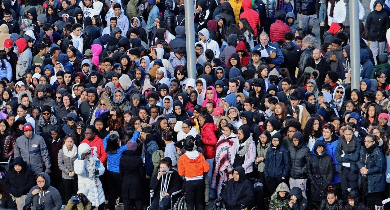 Article 119515 Thumbnail