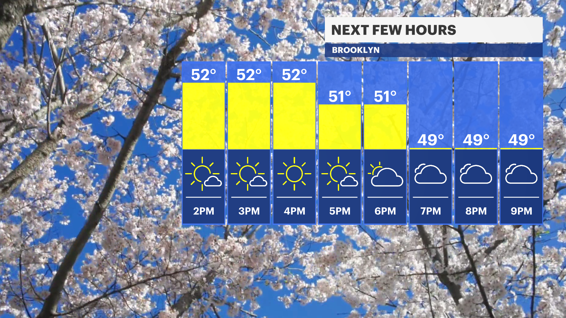 LN TODAY HOURLY PLANNER FB BAR