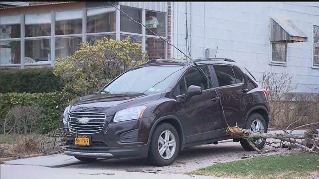 Article 118024 Thumbnail